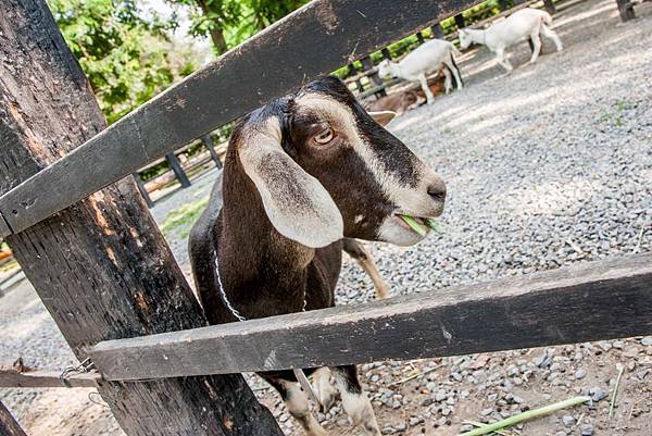 DSC00110.jpg DSC00110.jpg