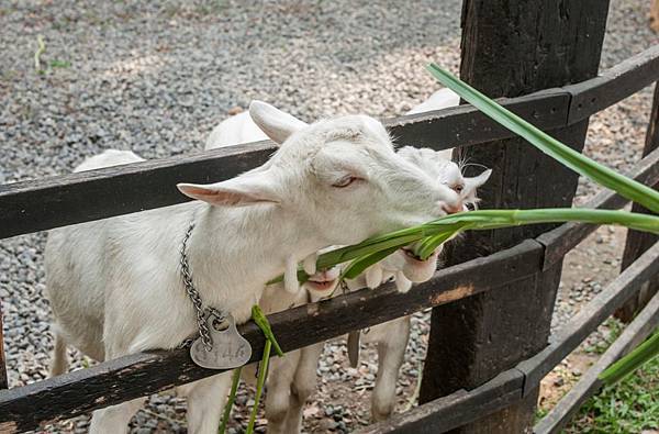 DSC00119.jpg DSC00119.jpg