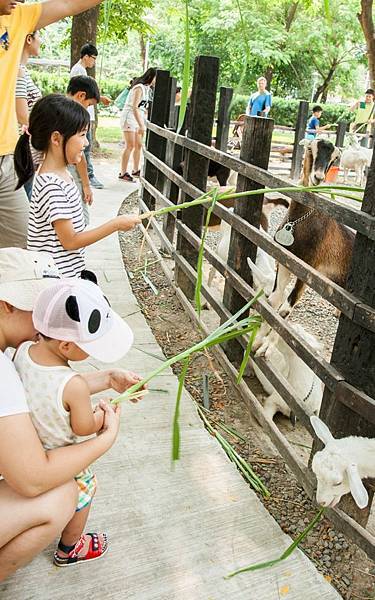 DSC00125.jpg DSC00125.jpg