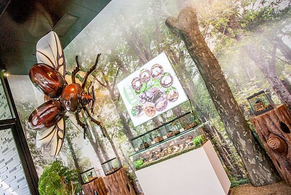 DSC00136.jpg DSC00136.jpg