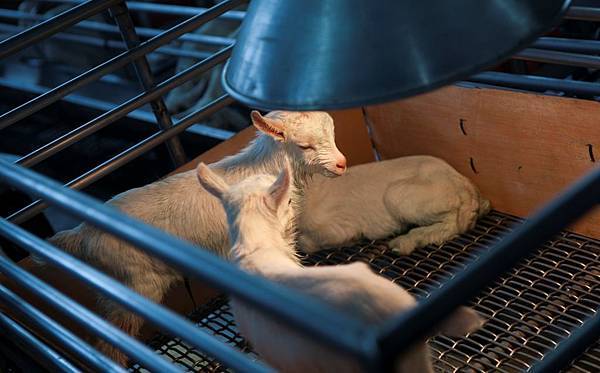 DSC00165.jpg DSC00165.jpg