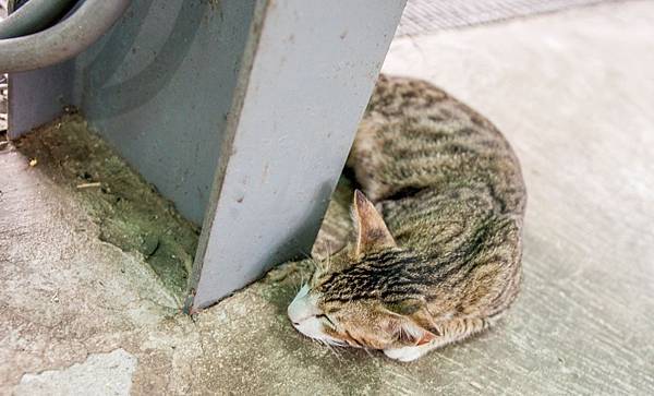 DSC00170.jpg DSC00170.jpg