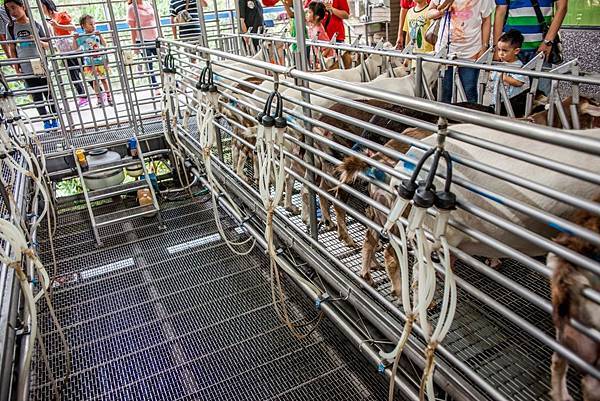 DSC00173.jpg DSC00173.jpg