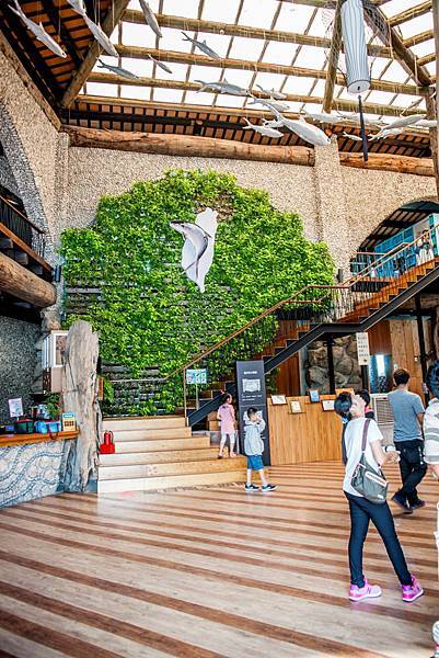 DSC00702.jpg DSC00702.jpg