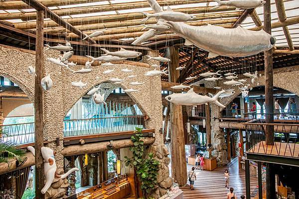 DSC00713.jpg DSC00713.jpg