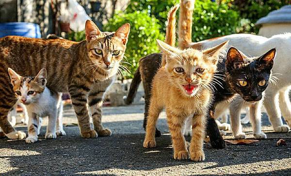 1507967_345760892271090_4717888330677636925_n 1507967_345760892271090_4717888330677636925_n