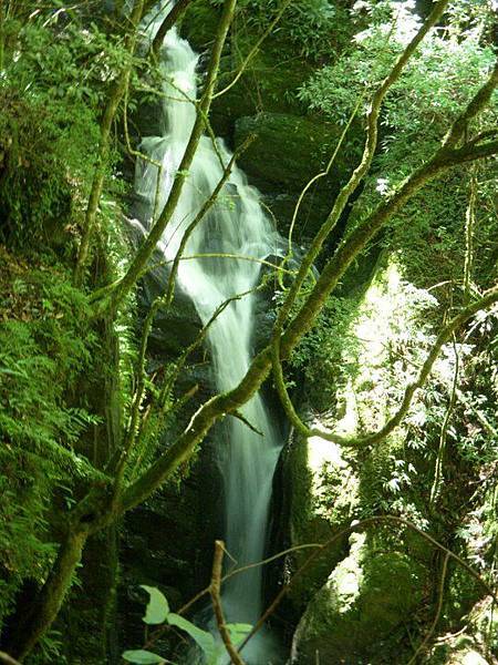 294291_10150272482587631_695167630_7806134_4308482_n