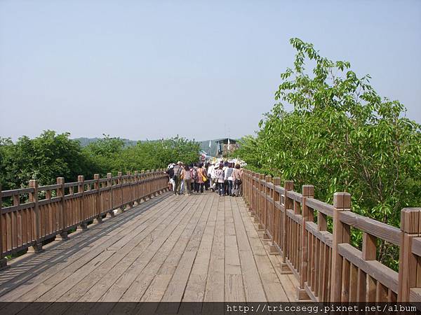 自由之橋