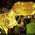 DSCN8406
