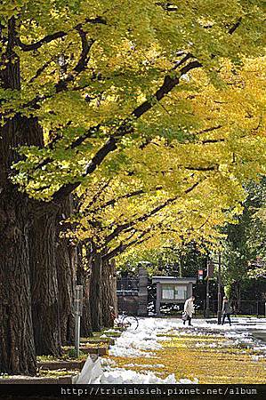 北海道 北海道