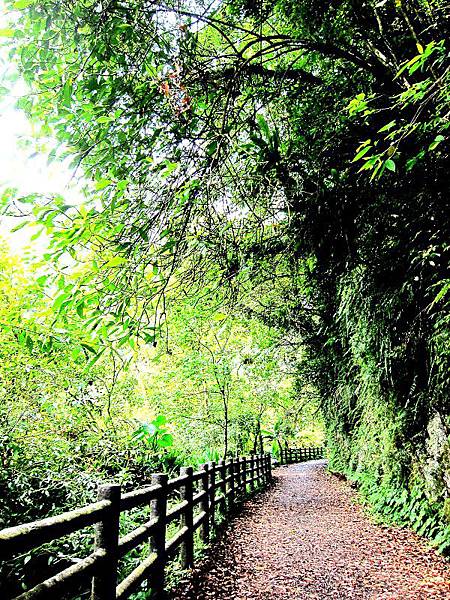 IMG_0779.JPG IMG_0779.JPG