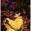 DSC_5269.JPG