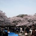 Ueno2 (Copy).jpg