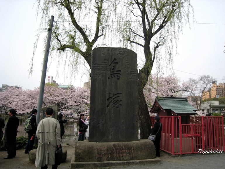 Ueno12 (Copy).jpg