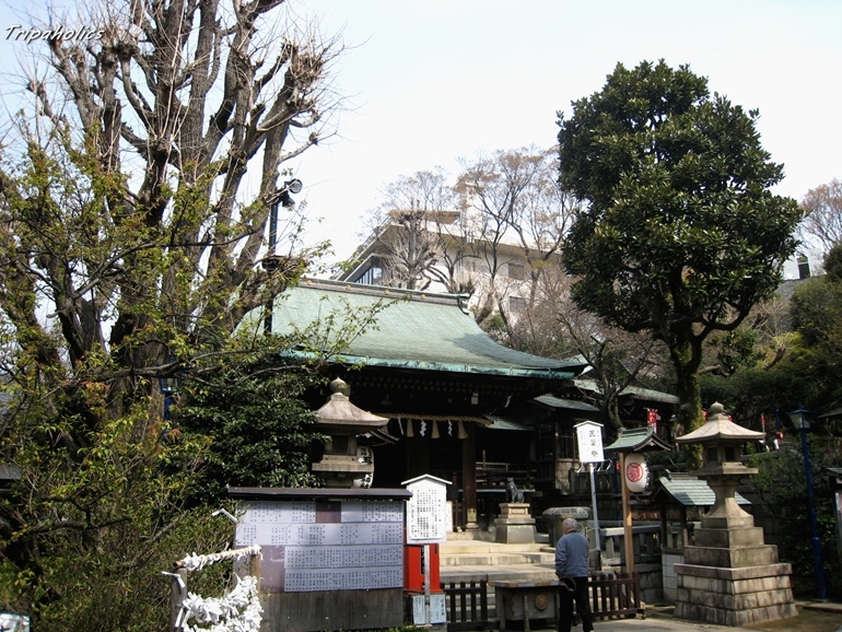 Ueno10 (Copy).jpg