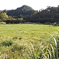 龍潭小粗坑古道山腳下的草地