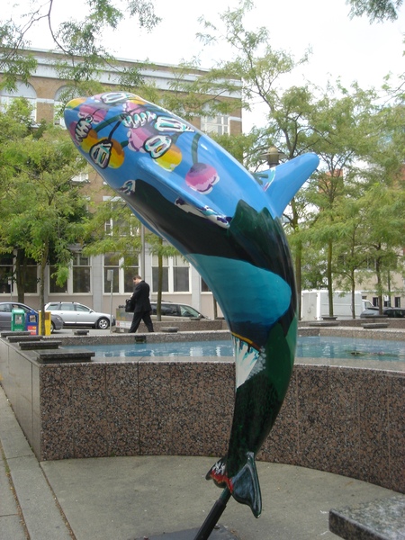 市區的海豚