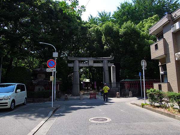 九州一人自由行 筥 箱 崎宮滿開紫陽花 百合花 源始 的我 痞客邦