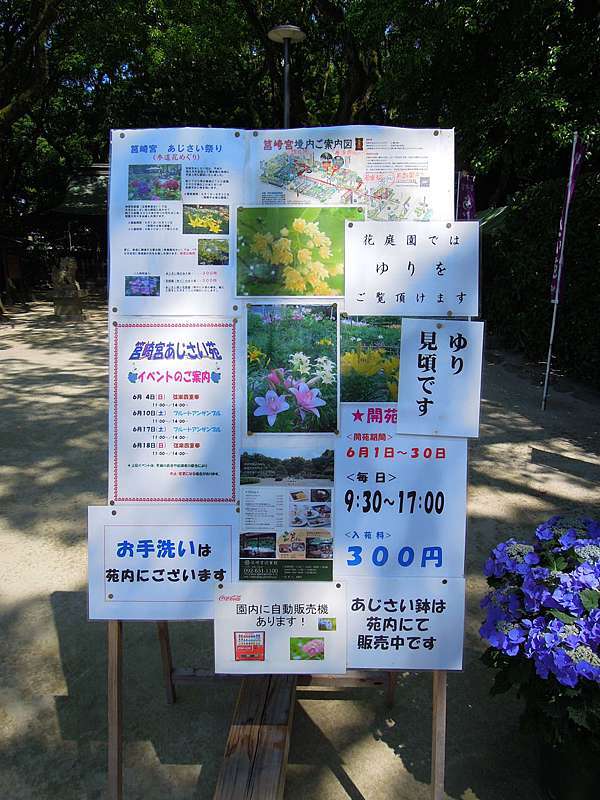 九州一人自由行 筥 箱 崎宮滿開紫陽花 百合花 源始 的我 痞客邦