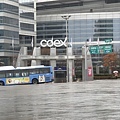 因為下雨所以今天到COEX MALL