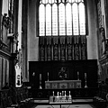 DSCN1654.JPG