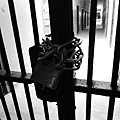 DSCN1795.JPG