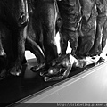 DSCN1809.JPG
