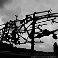 DSCN1815.JPG