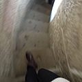 DSCN2427.JPG