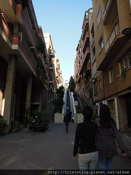 DSCN2459.JPG