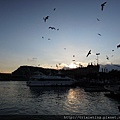 DSCN2517.JPG