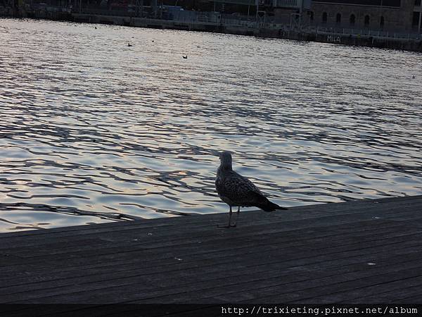 DSCN2519.JPG