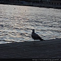 DSCN2519.JPG