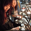 DSCN4226
