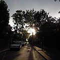 DSCN4422