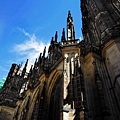 DSCN5387