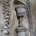 DSCN5185