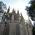 DSCN5235