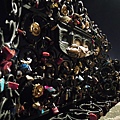 DSCN5289