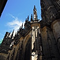 DSCN5387