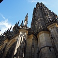 DSCN5388