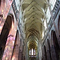 DSCN5390