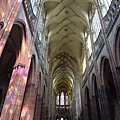 DSCN5391