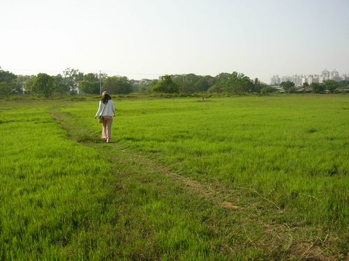 牧場又一景