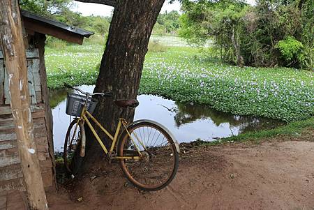 16143455_725089840986942_8140807111324126674_o