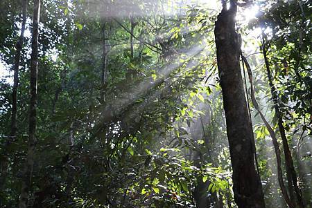 16113035_725087314320528_3771241675140798250_o