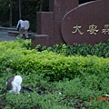 20100302貓在大安森林公園入口