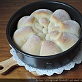 DSCN5076.JPG