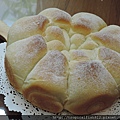 DSCN5088.JPG