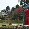 DSC03903.JPG